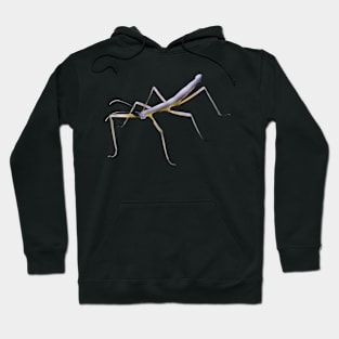 Nonbinary Stick Bug Hoodie